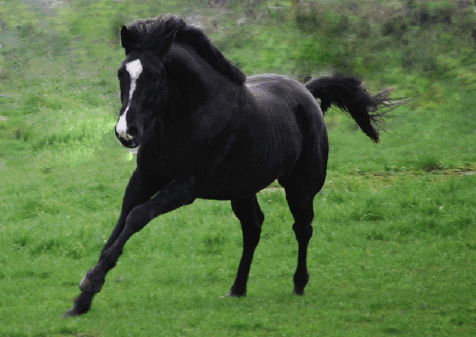 Diabolo als Hintergrundbild_bearbeitet-1